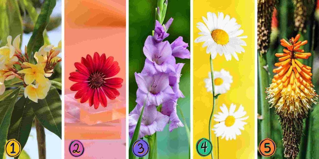 Persoonlijkheidstest: Welke van de 5 bloemen kies jij? Ontdek het niveau van controle over je emoties!